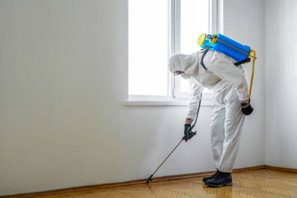 Best Emergency Pest Control  in Shingletown, CA