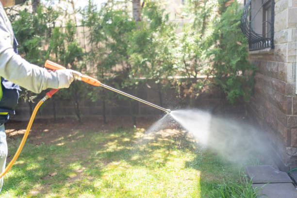 Insect Control in Shingletown, CA