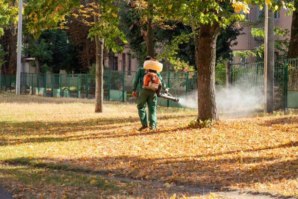 Best Termite Control Services  in Shingletown, CA